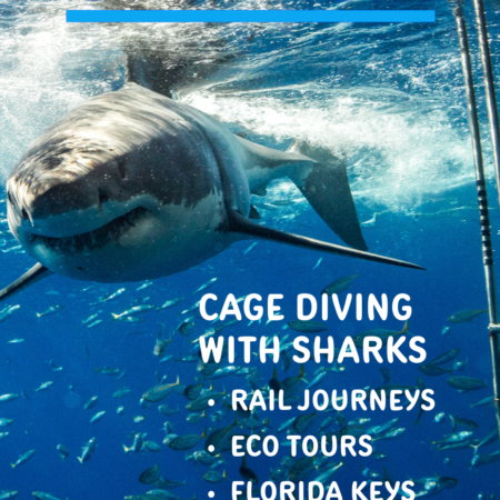 Subscribe to an online magazine or blog